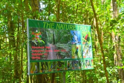 Waterfalls and Nature Tour
