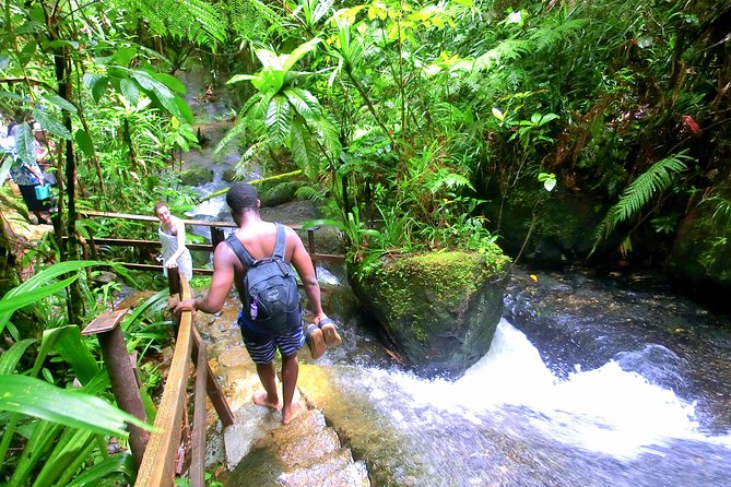 Waterfalls and Nature Tour - Swimming, Picnic Time, and the Food Question
