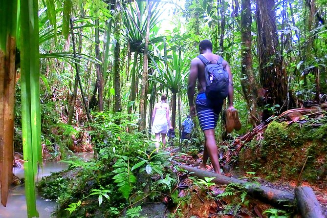 Waterfalls and Nature Tour - Is the $91.72 Price Good Value?