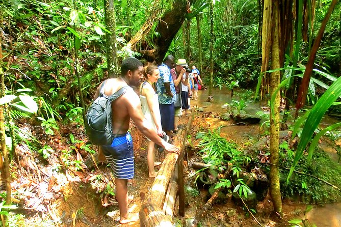 Waterfalls and Nature Tour - Who Will Enjoy This Fiji Waterfall Tour?
