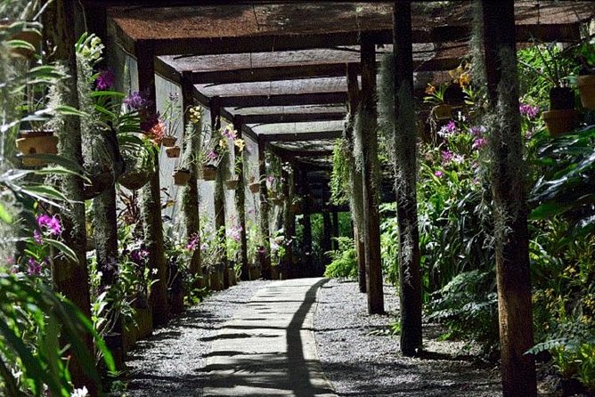 Wonders of Nadi Tour - Hindu Temple, Sleeping Giant Gardens, Markets & Shopping - Walking among orchids at the Gardens of the Sleeping Giant