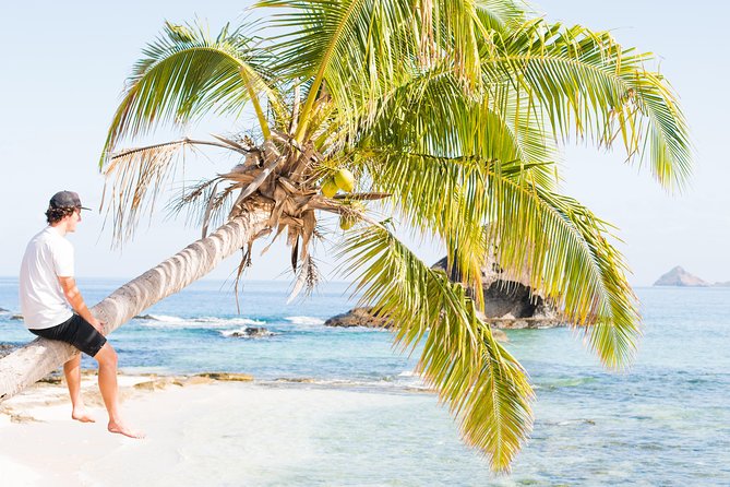 Yasawa Wanderer Package 8 Days| 7 Nights - All Activities Included - Days Four And Five: Mantas, Coral, And A Sunset Cruise