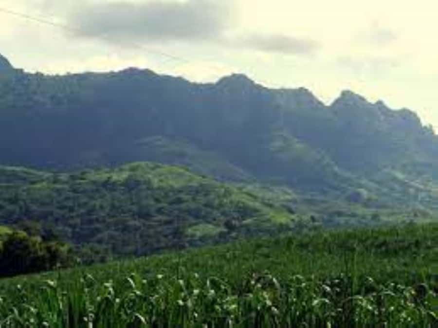 Zipline, Cave, Seaview & Mud Spa Tour with Lunch Included - The route through Viseisei